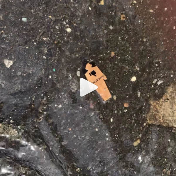 video of tiny trump with floating down a small stream abutting a sidewalk and into a gutter