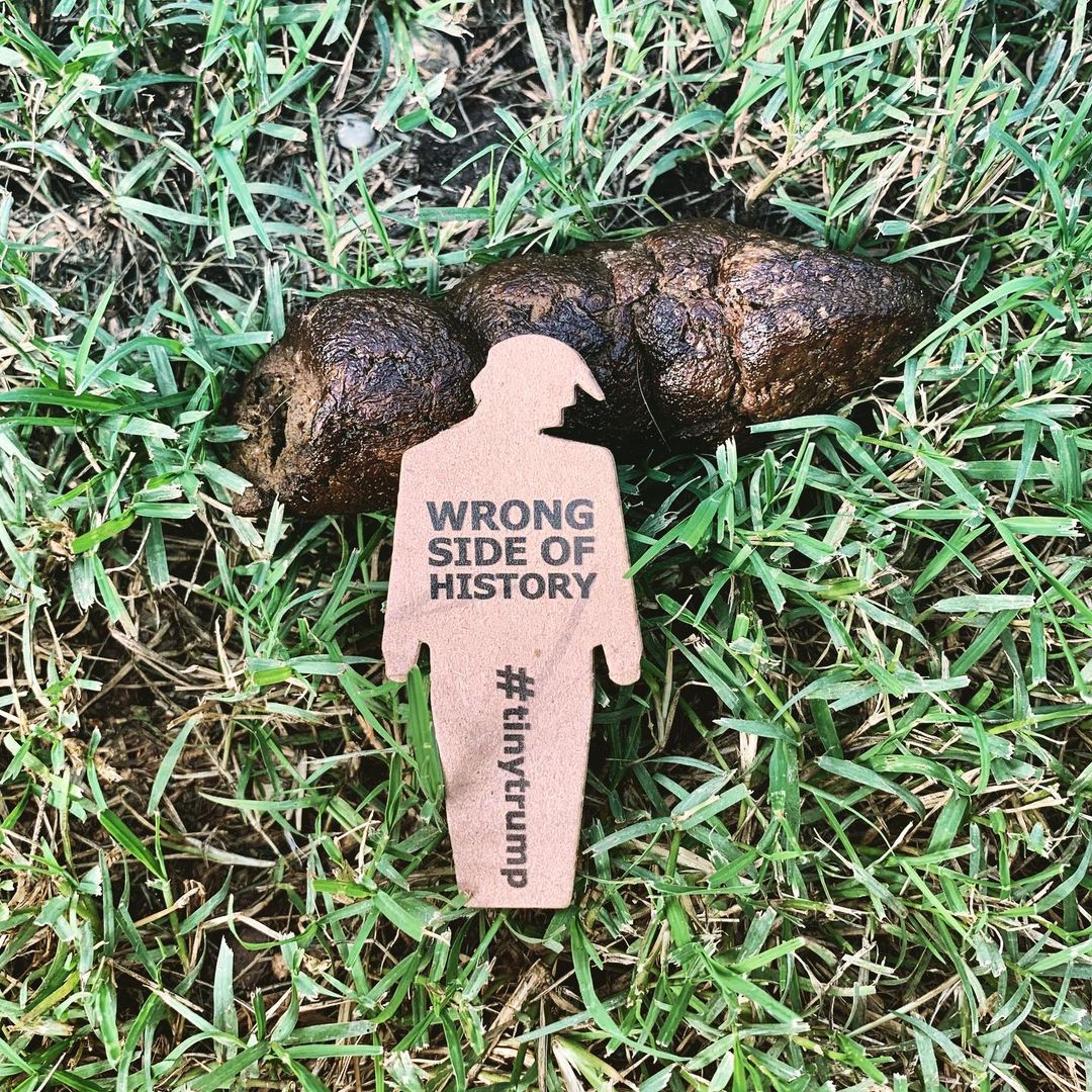 tiny trump with slogan 'Wrong Side of History' next to a dog turd